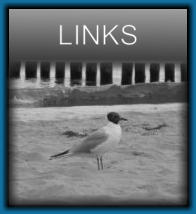 LINKS